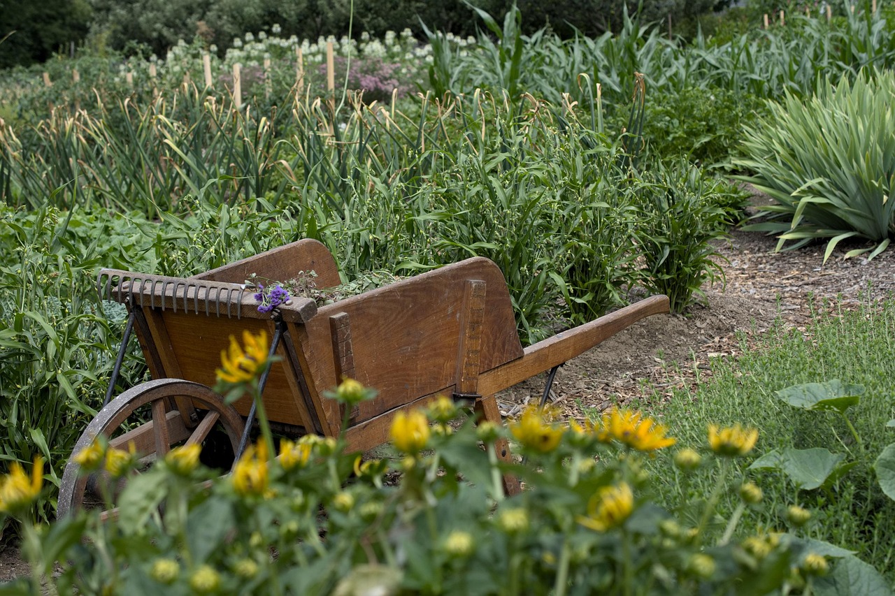 garden, wheelbarrow, gardening, home garden, nature, flower garden, vegetable garden